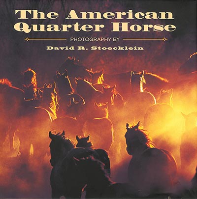 The American Quarter Horse by David R. Stoecklein Massive Coffee Table Book *HALF PRICE*