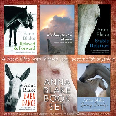 Set of 5 Anna Blake Books