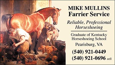 Custom Business cards- Landseer Shoeing design