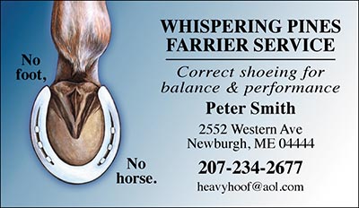 Custom Business Cards- Shod Hoof design