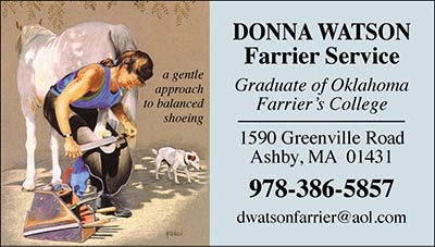 Custom Business Cards - Lady Farrier Design