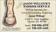 Custom Business Cards - Horse Anatomy/Leg Bones design