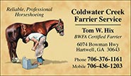 Custom Business cards- Modern Farrier design