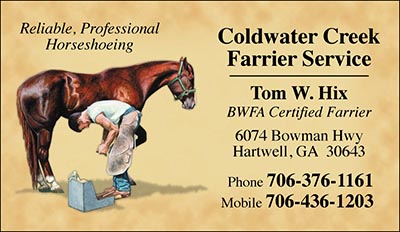 Custom Business cards- Modern Farrier design