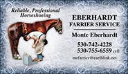 Custom Business cards- Modern Farrier design w/Blue Shoe Background