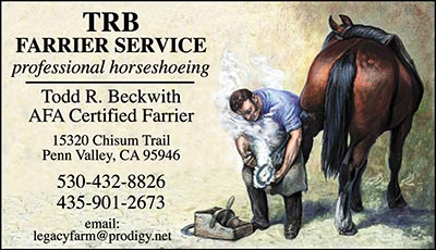 Custom Business cards- Engraved Farrier design