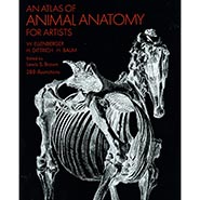 Atlas of Animal Anatomy - Reprint of the American Museum of Natural History 1956 edition with 288 illustrations