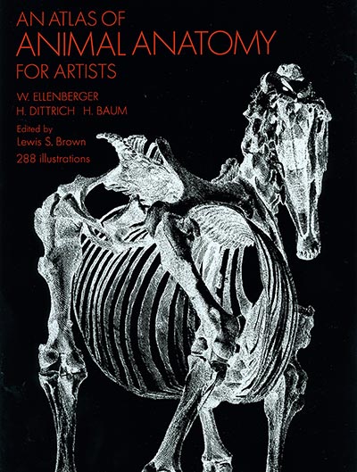 Atlas of Animal Anatomy - Reprint of the American Museum of Natural History 1956 edition with 288 illustrations