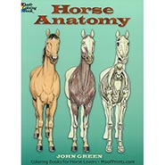 Horse Anatomy Coloring Book - 30 pages with all parts labeled - Great Teaching Aid!