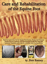 Care and Rehabilitation of the Equine Foot