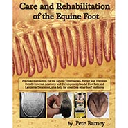 Care and Rehabilitation of the Equine Foot by Pete Ramey