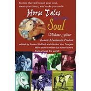 Horse Tales for the Soul Vol 4