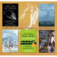 Set of 5 Linda Kohanov Books