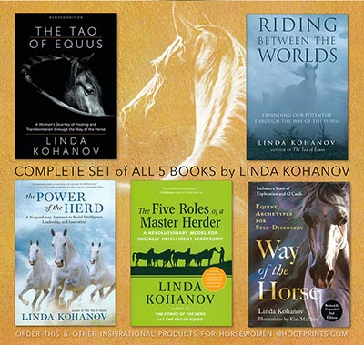 Set of 5 Linda Kohanov Books