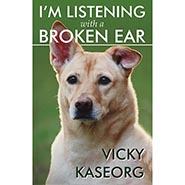 I'm Listening With A Broken Ear