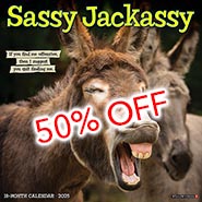 2025 Sassy Jackassy Funny and Inspirational Wall Calendar *80% OFF WHILE SUPPLIES LAST*