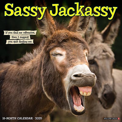 2025 Sassy Jackassy Funny and Inspirational Wall Calendar