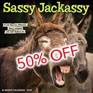 2025 Sassy Jackassy Funny and Inspirational Wall Calendar *HALF PRICE WHILE SUPPLIES LAST*