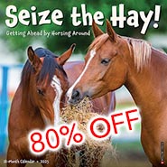 2025 Seize the Hay! Funny and Inspirational Wall Calendar  *80% OFF WHILE SUPPLIES LAST*