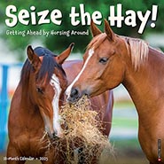 2025 Seize the Hay! Funny and Inspirational Wall Calendar