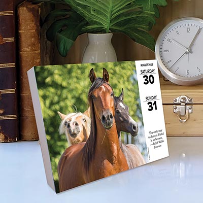 2025 What Horses Teach Us Page-A-Day Calendar *SOLD OUT*