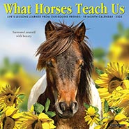 2025 What Horses Teach Us Inspirational Wall Calendar