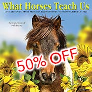 2025 What Horses Teach Us Inspirational Wall Calendar *HALF PRICE WHILE SUPPLIES LAST*