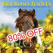 2025 What Horses Teach Us Inspirational Wall Calendar *80% OFF WHILE SUPPLIES LAST*