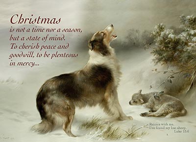 Christmas is a State of Mind Card featuring Found Collie art Package of 10 Cards