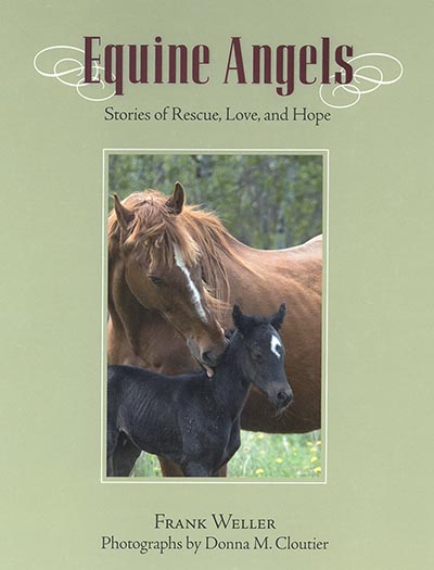 Equine Angels: Stories Of Rescue, Love, And Hope *HALF PRICE LIMITED AVAILABILITY*