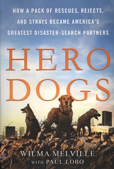 Hero Dogs *SOLD OUT*