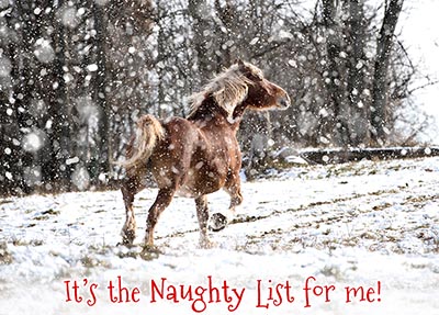 It's the Naughty List for Me!