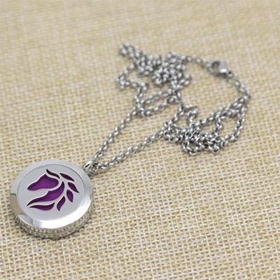 Horse Head Aromatherapy Locket Necklace *HALF PRICE*