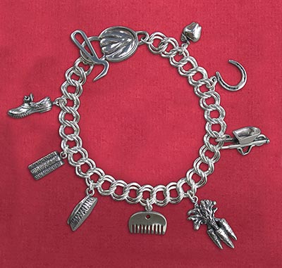 Horse Care Tools Sterling Silver Charm Bracelet