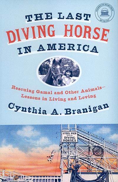 The Last Diving Horse in America *HALF PRICE LIMITED AVAILABILITY*