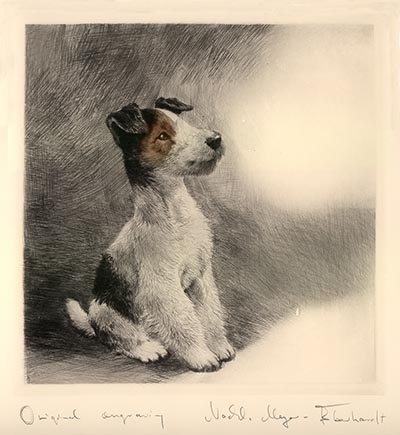 Listen Master - Look Out - Fox Terrier Pup Signed Etching by Meyer-Eberhardt *ONLY 2 AVAILABLE*