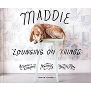 Maddie Lounging On Things: A Complex Experiment Involving Canine Sleep Patterns by Theron Humphrey *HALF PRICE*