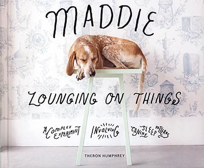 Maddie Lounging On Things: A Complex Experiment Involving Canine Sleep Patterns by Theron Humphrey *HALF PRICE*