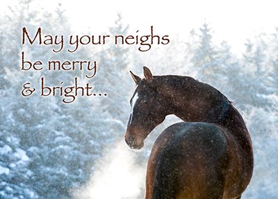 May your neighs be merry and bright - Package of 10 Cards