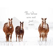 The Wise are not just men - Package of 10 Cards