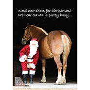 Need New Shoes? Santa Farrier - HALF PRICE $4.98