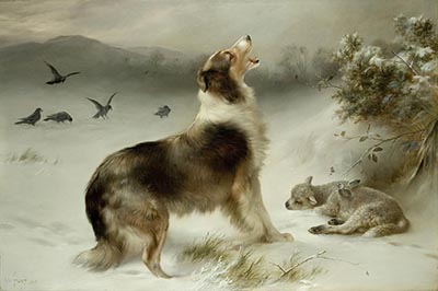 Found - collie and lost lamb print by Walter Hunt