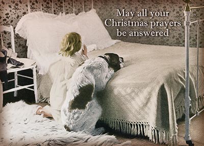 May Your Christmas Prayers Be Answered - Package of 10 Cards