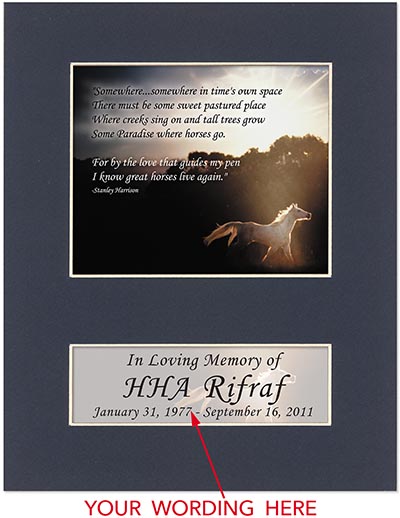 Great Horses Matted Sympathy Card with Your Custom Wording