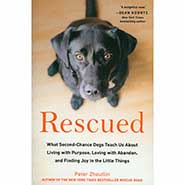 Rescued: What Second-Chance Dogs Teach Us *HALF PRICE Limited Availability*