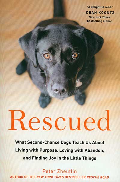 Rescued: What Second-Chance Dogs Teach Us *HALF PRICE Limited Availability*