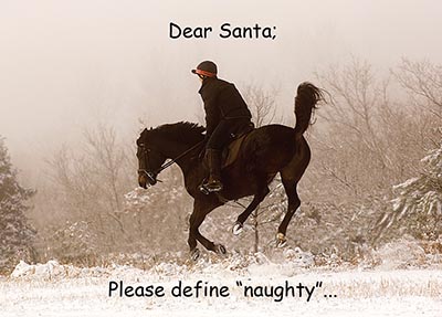 Santa Define Naughty Frisky Bucking FOR BUSINESS *HALF PRICE* $4.98