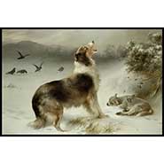 Found - collie and lamb print by Walter Hunt - READY TO HANG PLAQUE