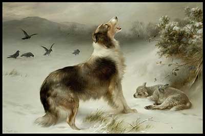 Found - collie and lamb print by Walter Hunt - READY TO HANG PLAQUE