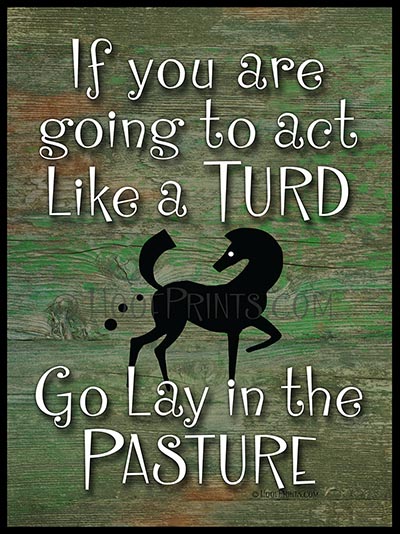 If you are going to act like a Turd - Go lay in the Pasture Sign *Discontinued 60% OFF!*